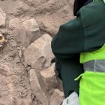 Foto: Seorang arkeolog bekerja di situs penggalian pemakaman pra-Hispanik di samping mumi yang diyakini berasal dari budaya Manchay, yang berkembang di lembah Lima antara 1.500 dan 1.000 SM, di Lima, Peru, 14 Juni 2023. (REUTERS/STRINGER)