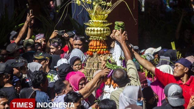 Ilustrasi hrebek gunungan | Foto Timesmedia.co.id