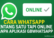 Cara WhatsApp Centang Satu Tapi Online Tanpa Aplikasi GBWhatsApp