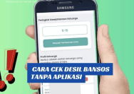 Cek Desil DTSEN BPS 2025