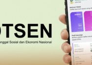 Cara Cek Desil via DTSEN Web BPS.go.id