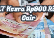 blt kesra 2026 kapan cair